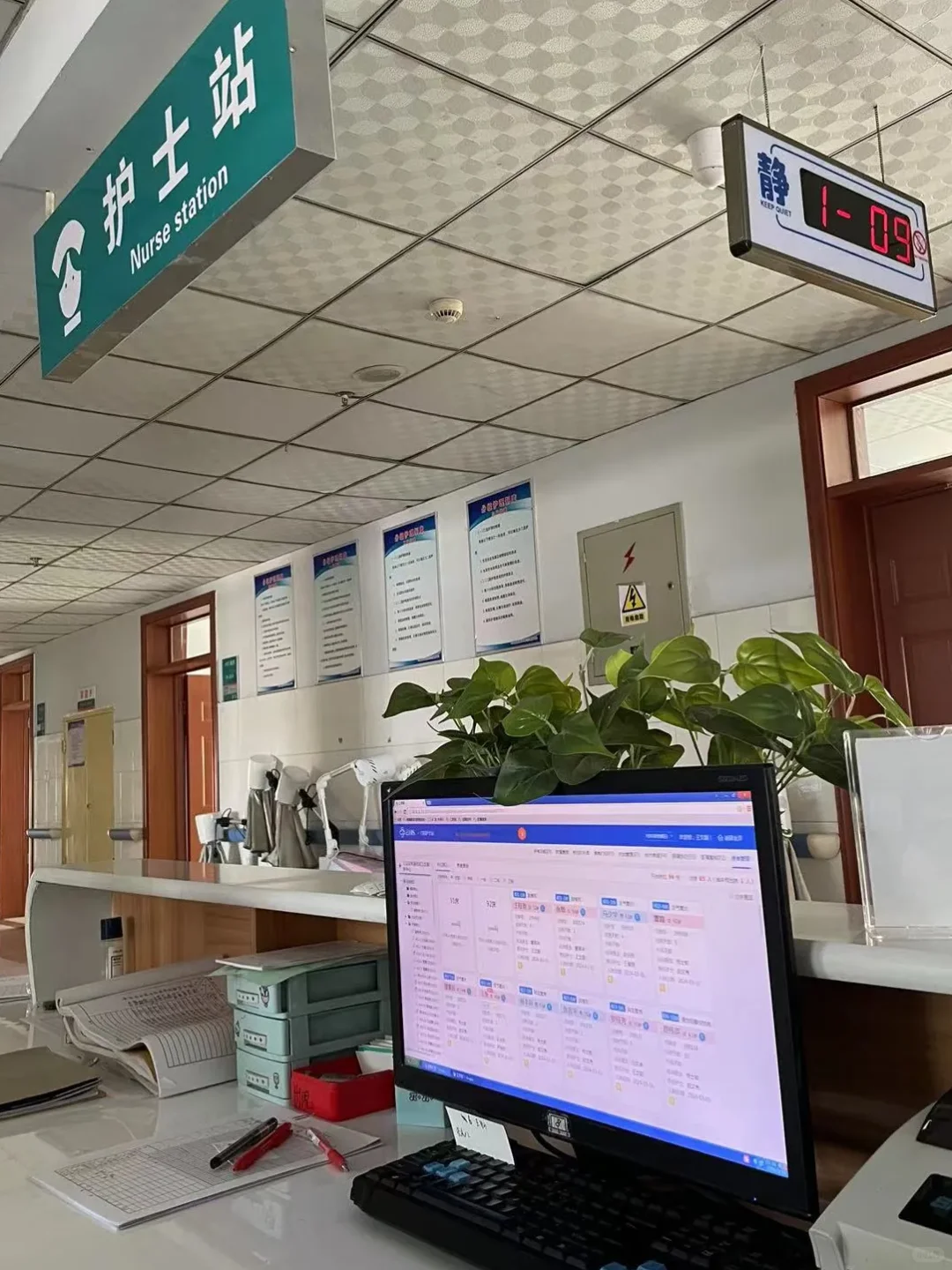渝北公立医院急需护士，大专要有证，谁来？