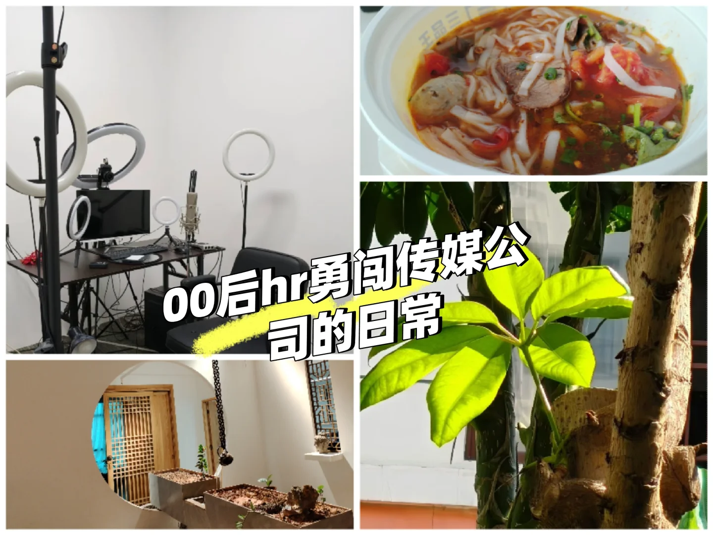 双休！地铁直达｜早10晚6！4K起