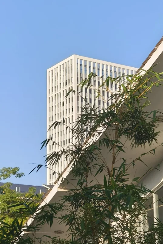 南宁职业技术大学丨辅导员教师岗及专技岗44