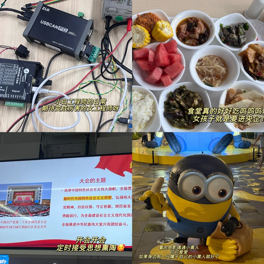 如果你一毕业就进国企