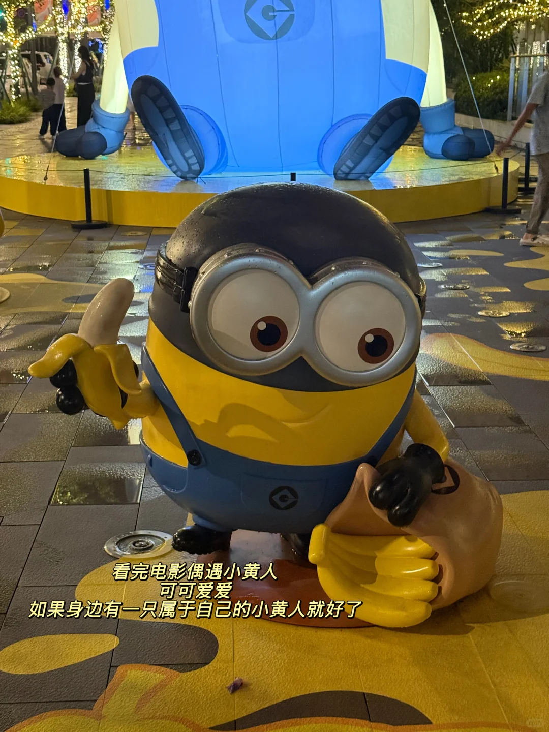 如果你一毕业就进国企
