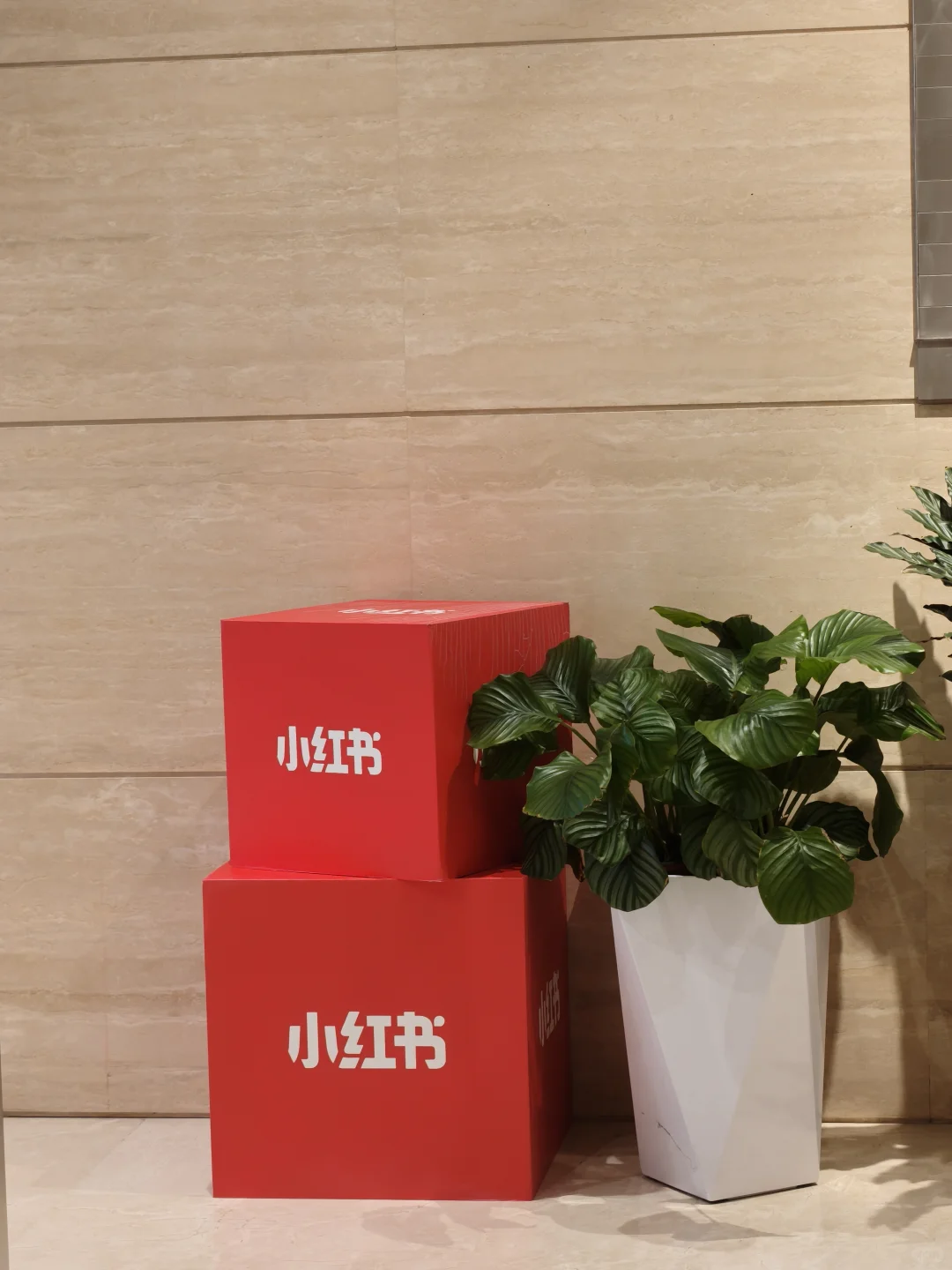 小生在此找个?继任 有转正hc 应届生来