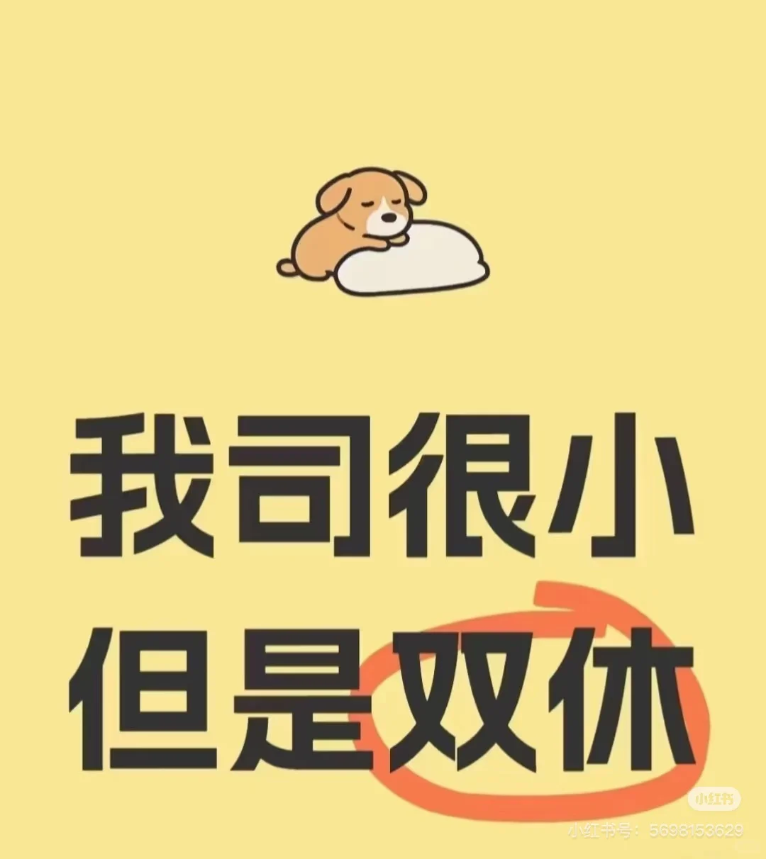 石家庄小公司