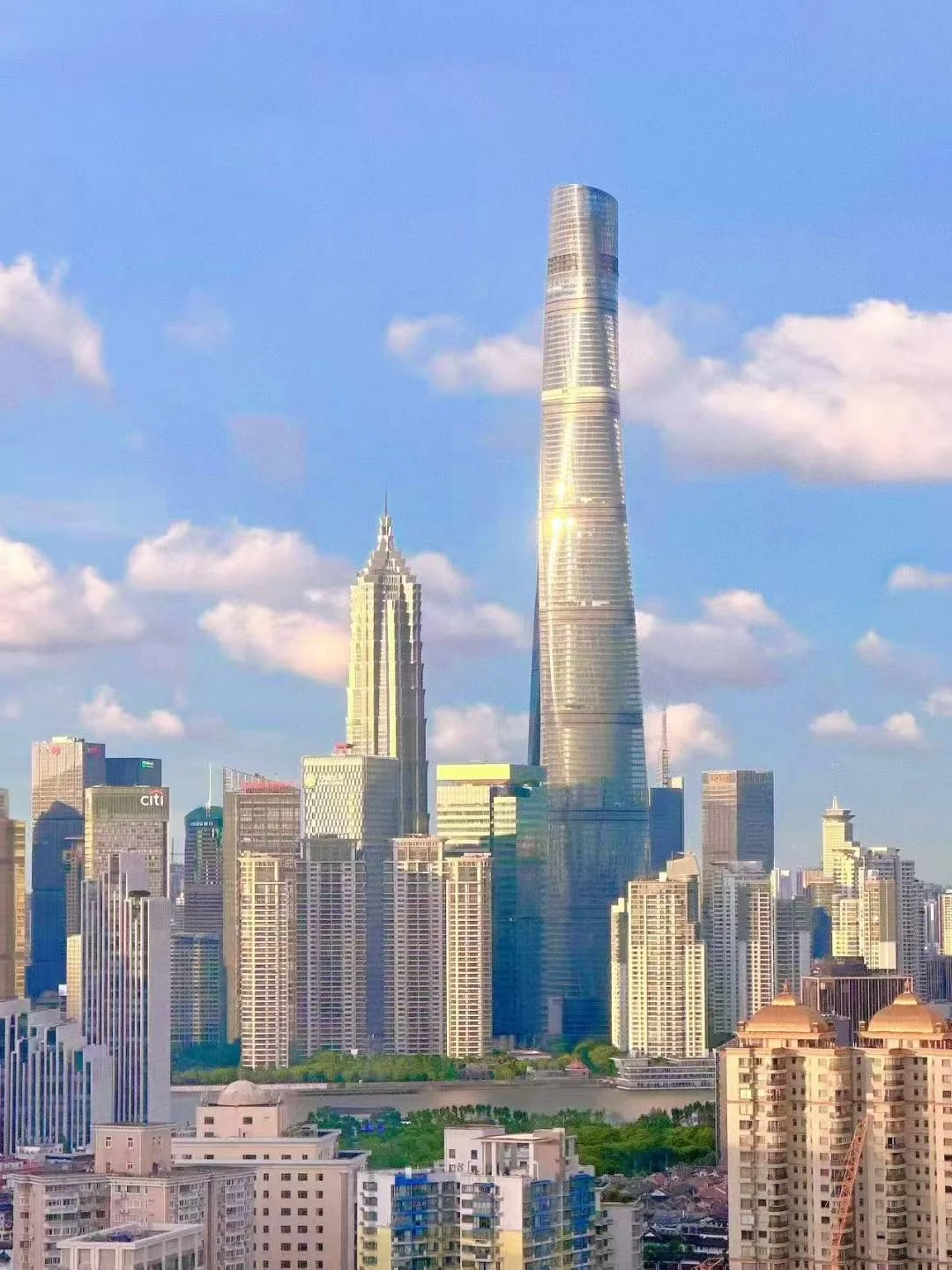 ?实习继任｜上海阳狮?超nice组 超绝view