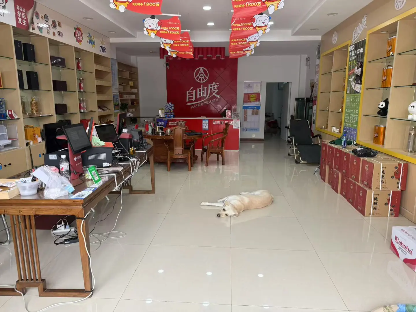 鹤壁招聘【彩票店打票员】