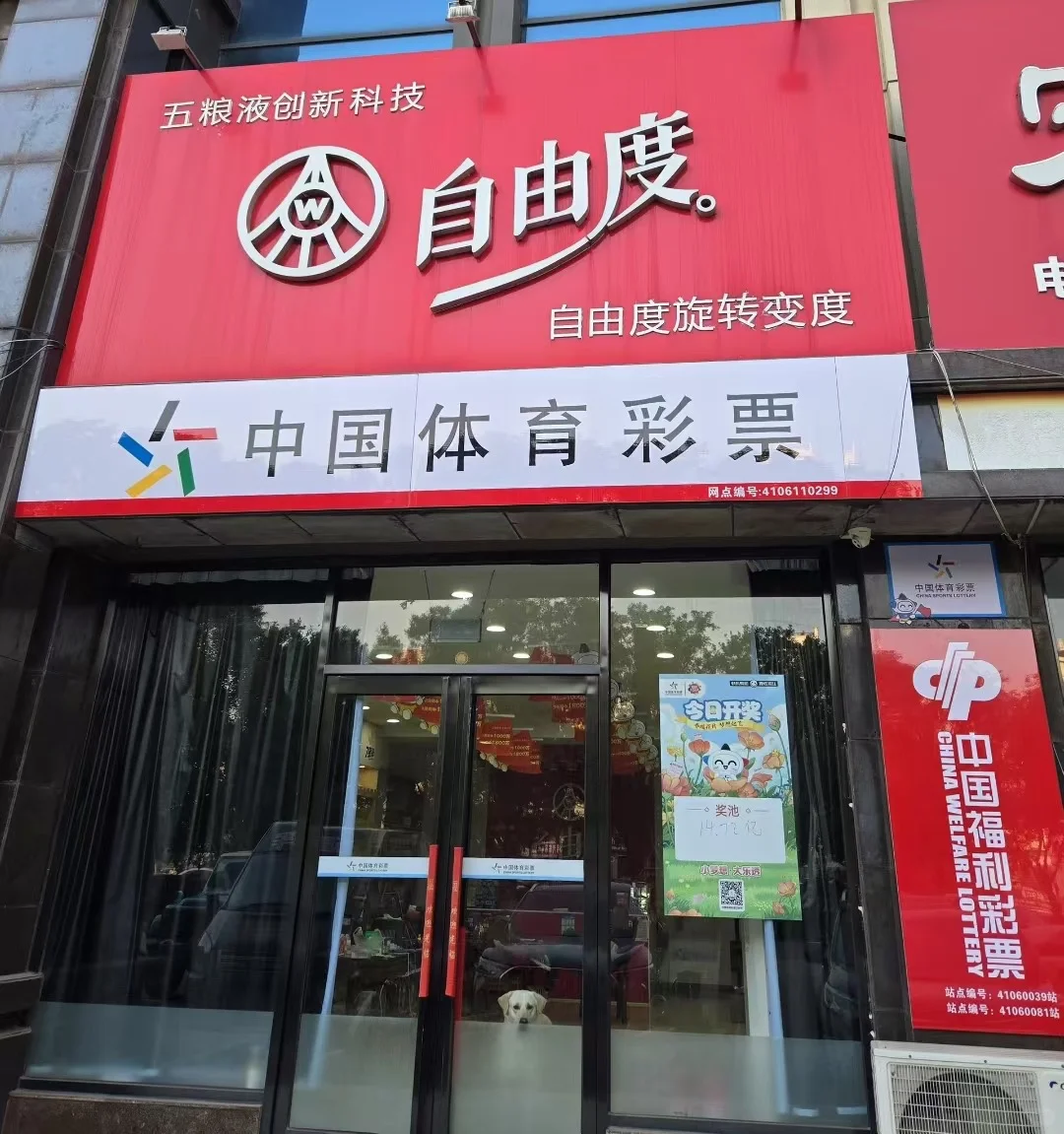 鹤壁招聘【彩票店打票员】