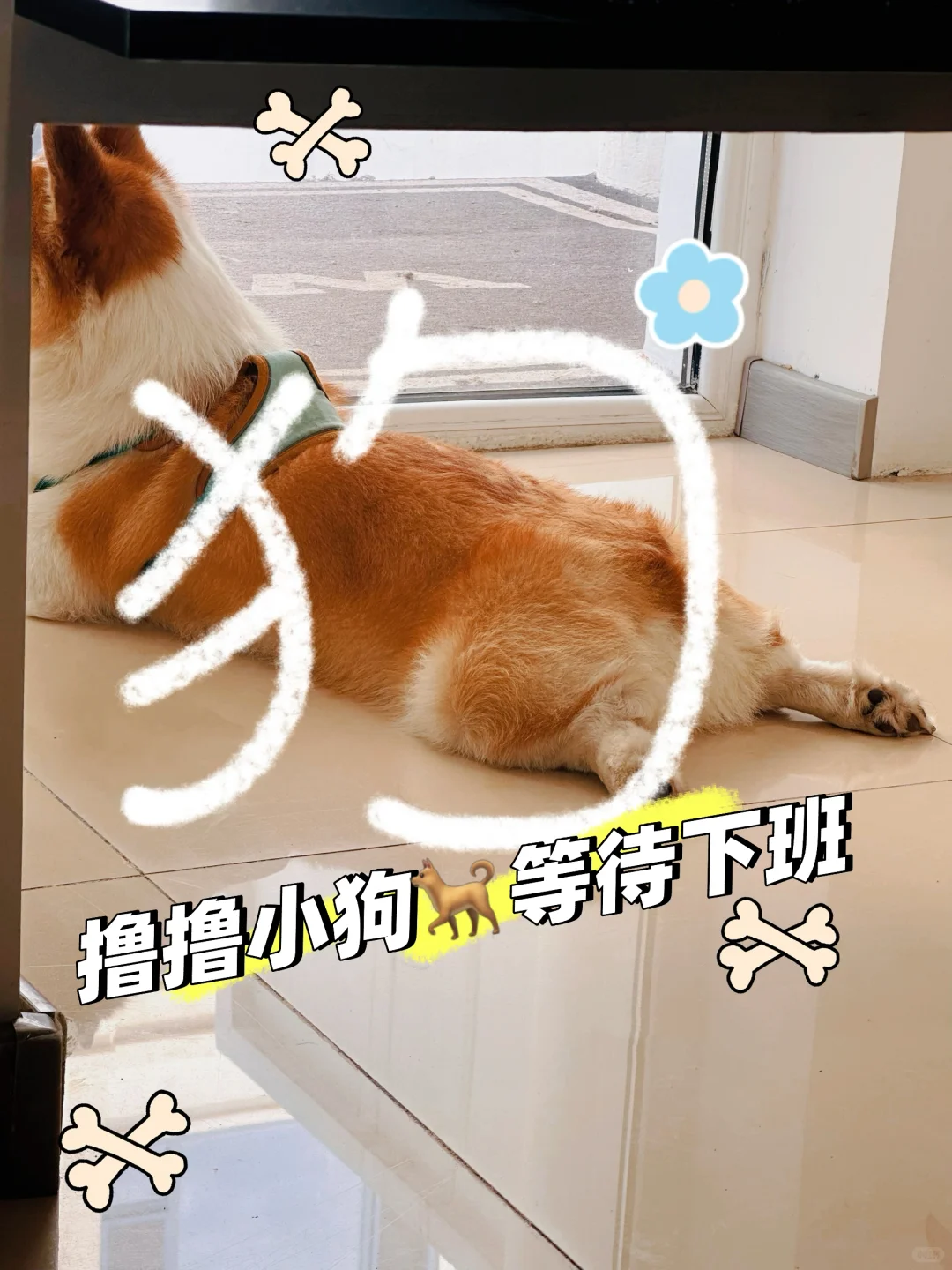 呼市神仙公司招人啦❗️