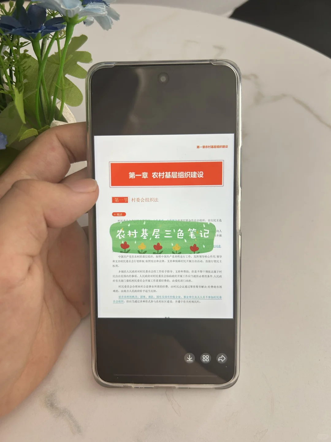镇江句容市村级后备人才，今年是蕞简单一年