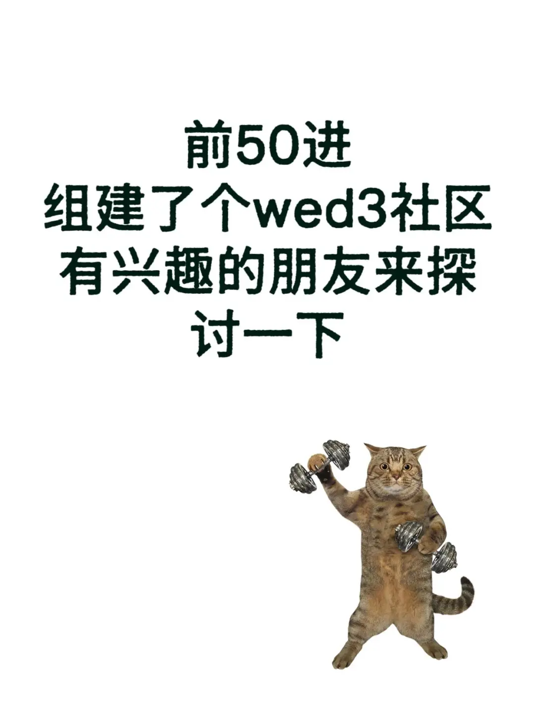 wed3社区建起来啦！
