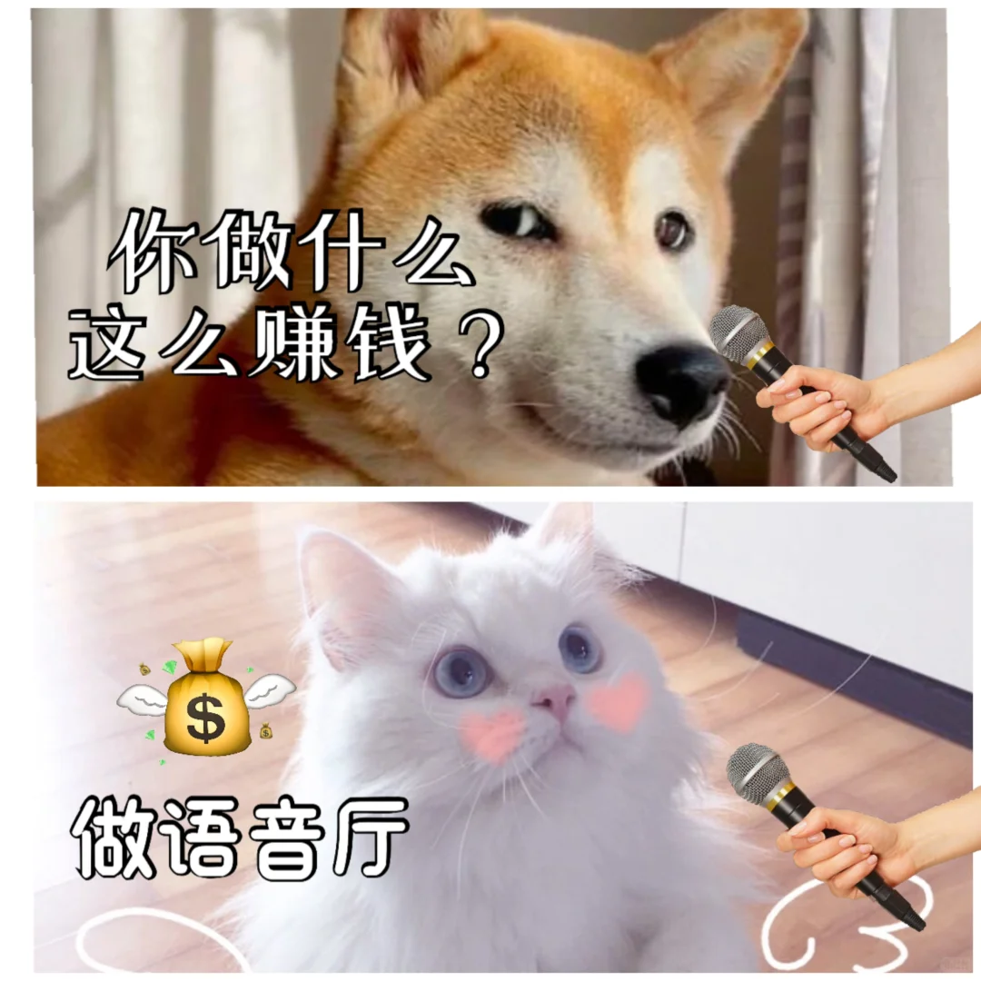 有木有盲盒前端主播呀 速来速来