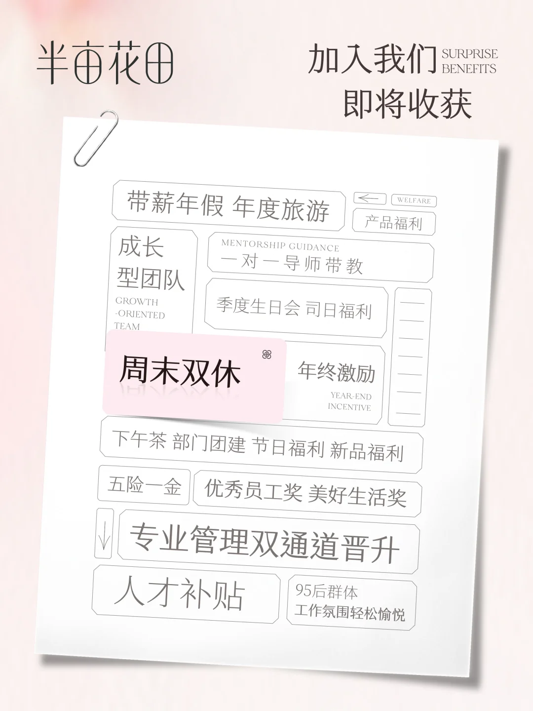 太燃了!半亩花田2026届校园招聘正式启动!