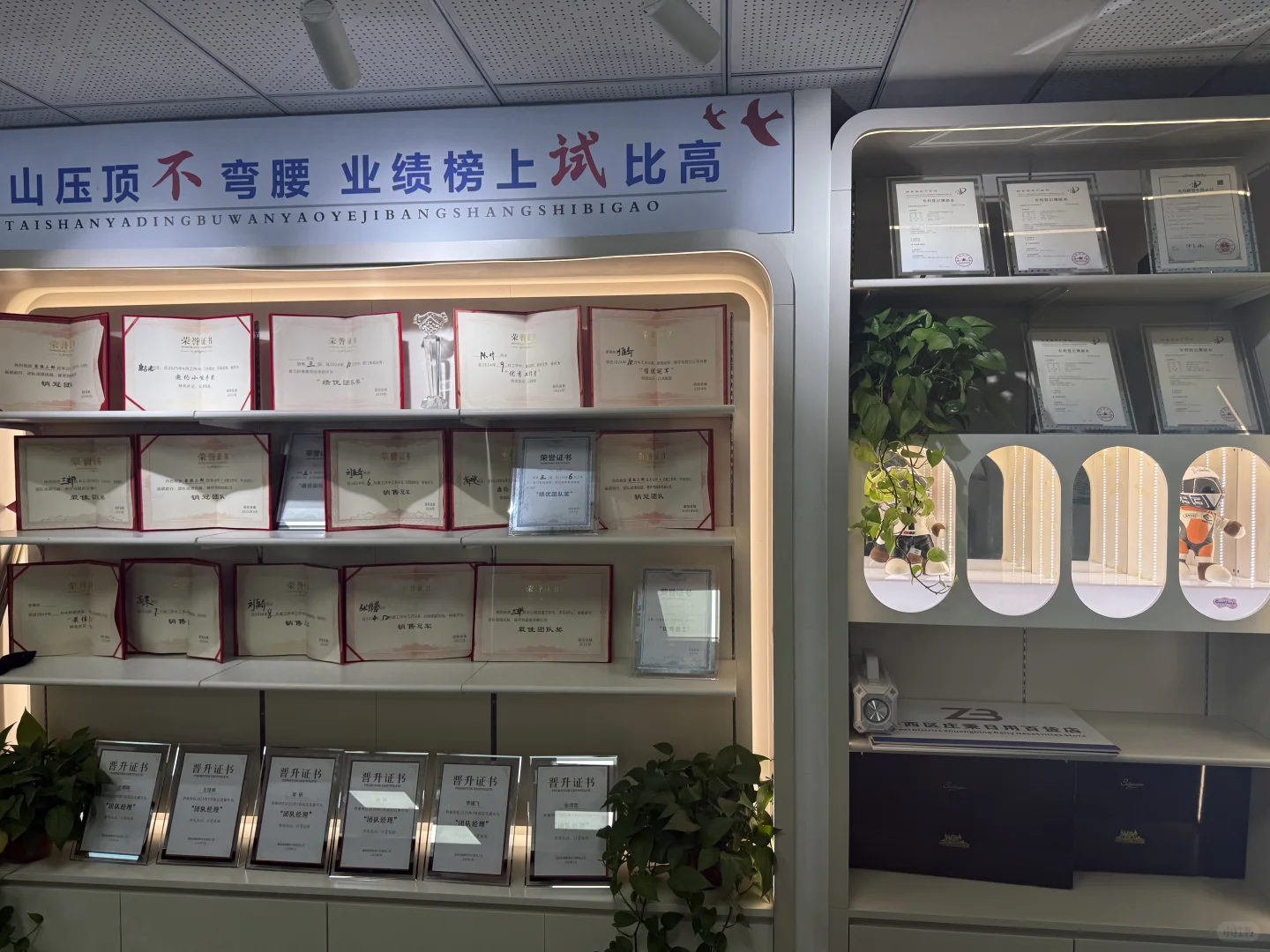 石家庄桥西双休工作招聘啦
