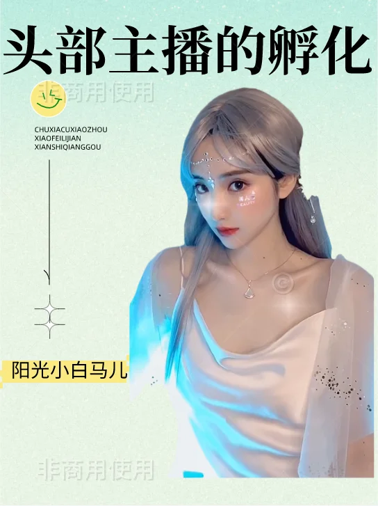 头部主播的孵化