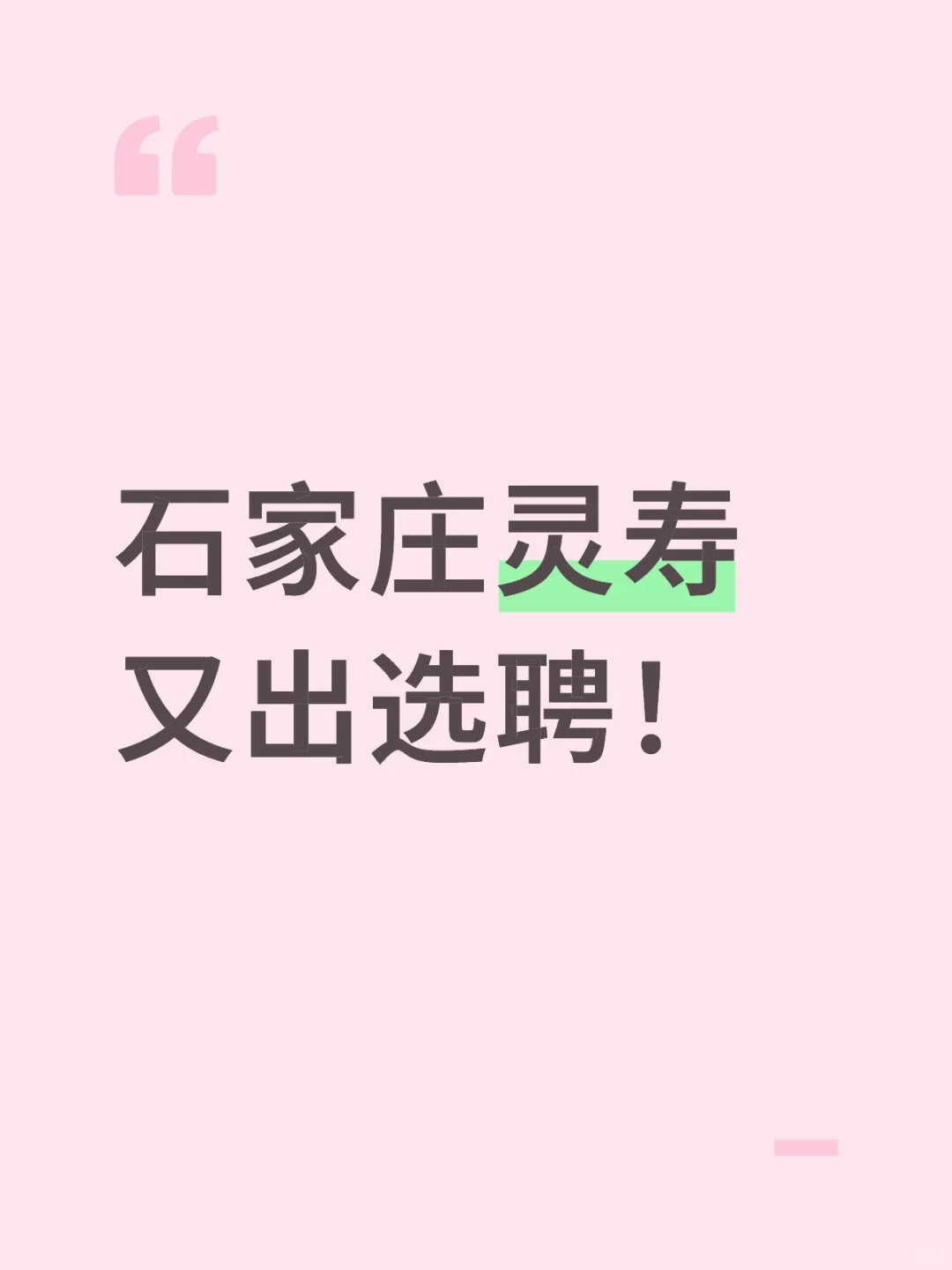 石家庄选聘又又又又又来啦！