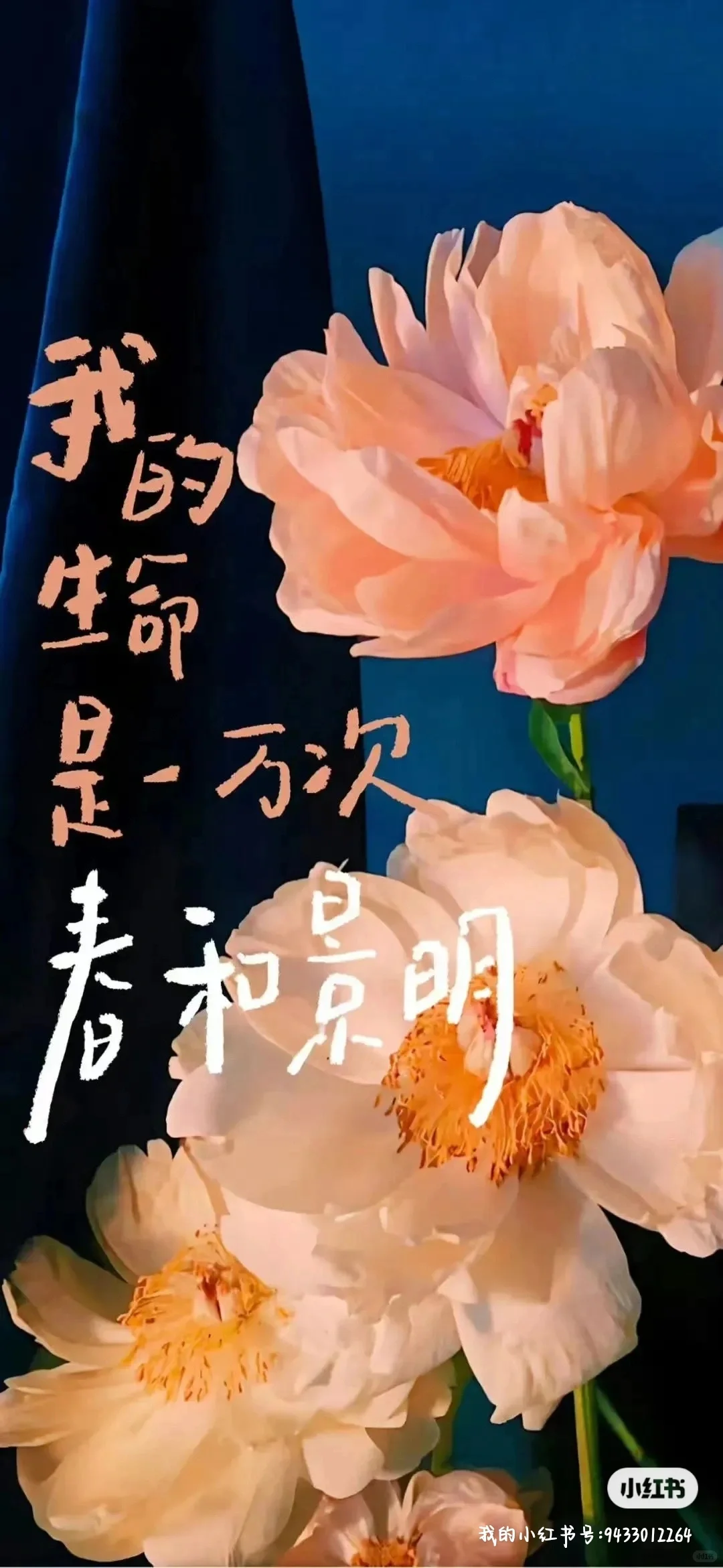二本非师范生勇闯私立高中