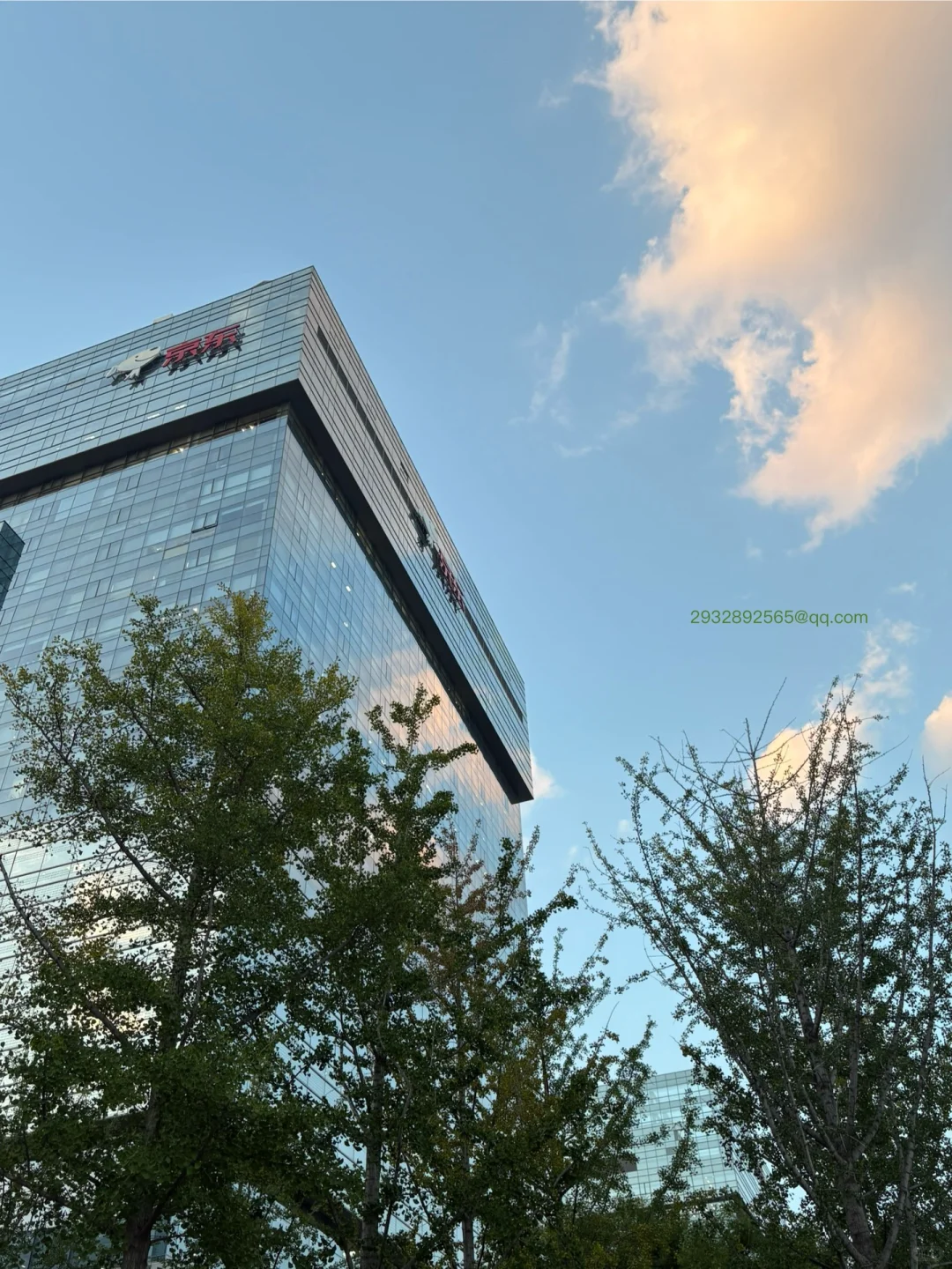 快来京东当我人美心善mentor的实习生