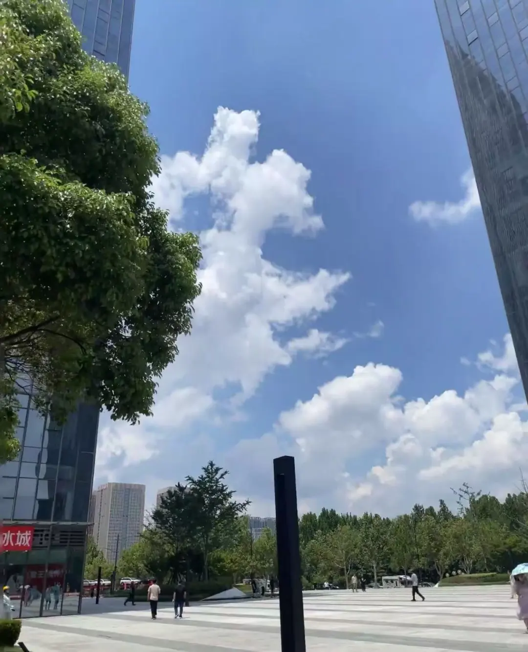 招聘??带货主播
