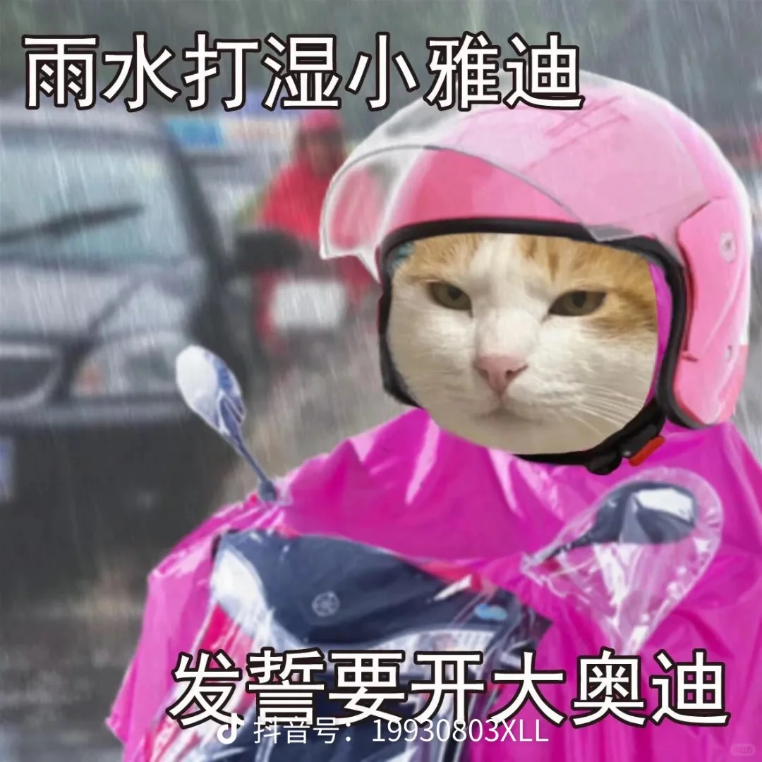 播播播播播播到厌倦～