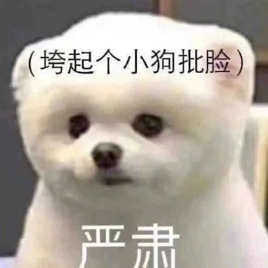 互联网大厂 hr 有问必答?️?‍♀️
