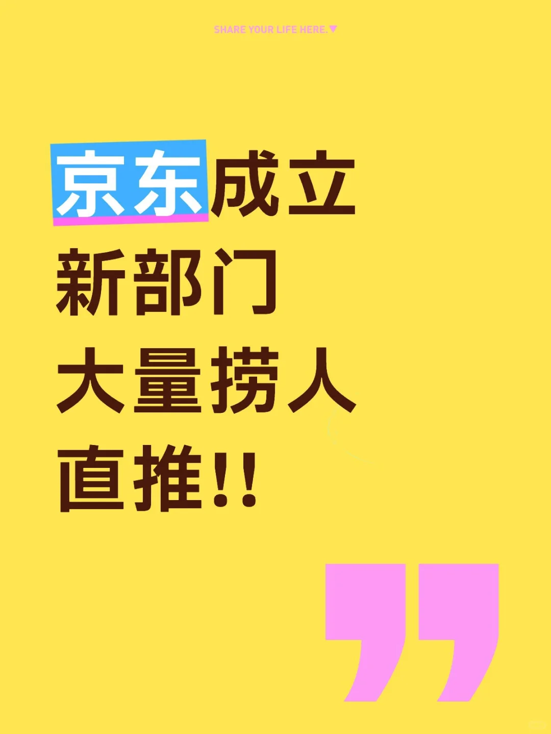 京东内推招人啦!!