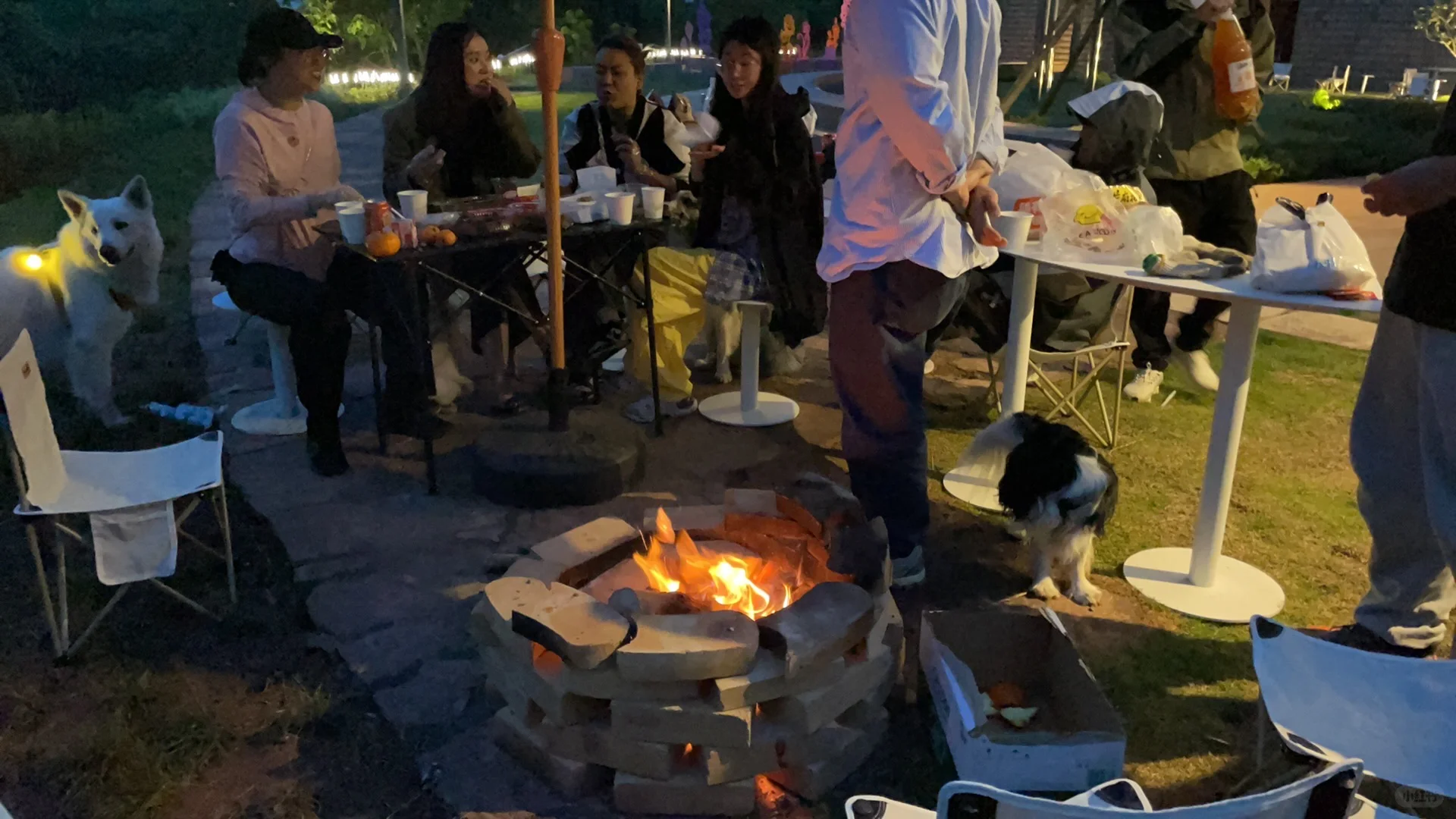 人才招募ing ！工作地点：数字游民社区