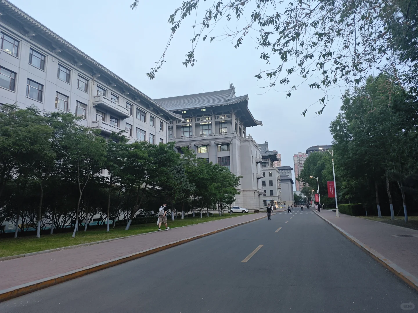 重生之成为AI大师