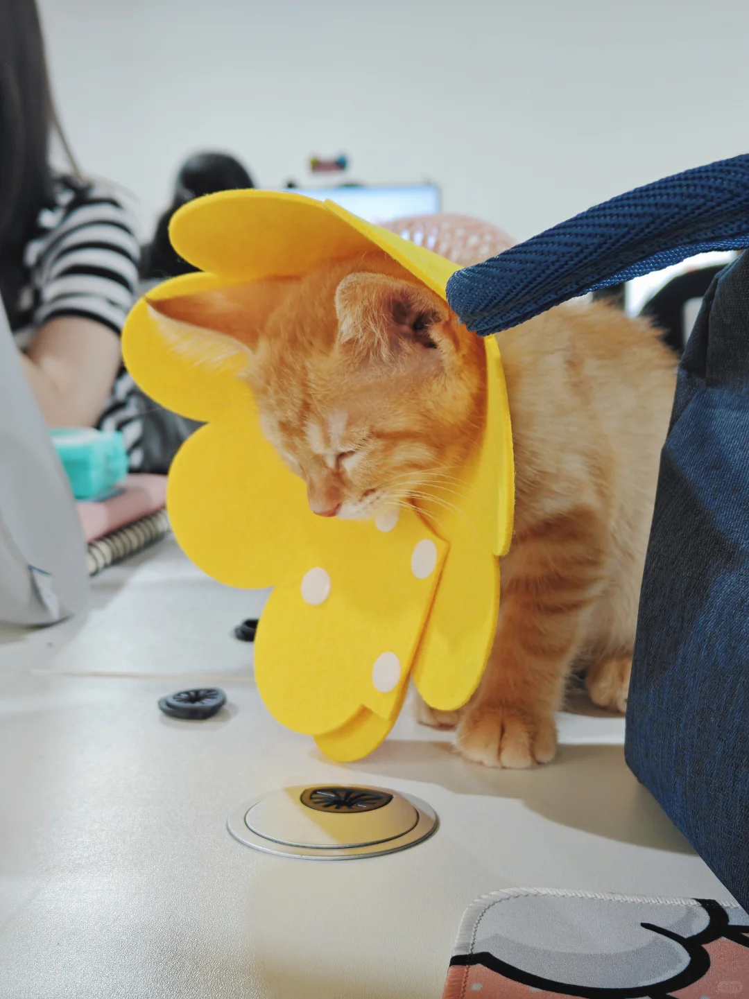 看到就是赚到！