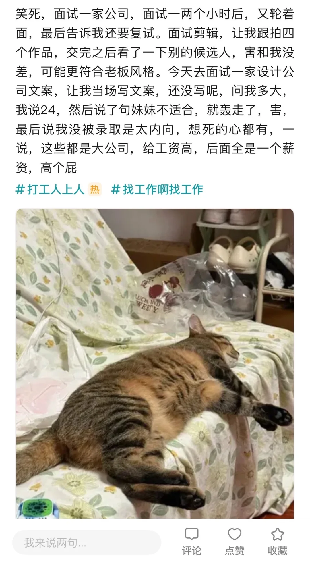 所以现在大公司招聘条件是什么？
