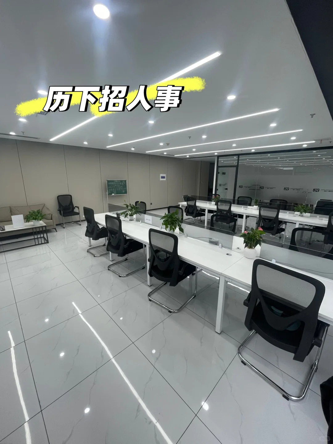 历下招人事