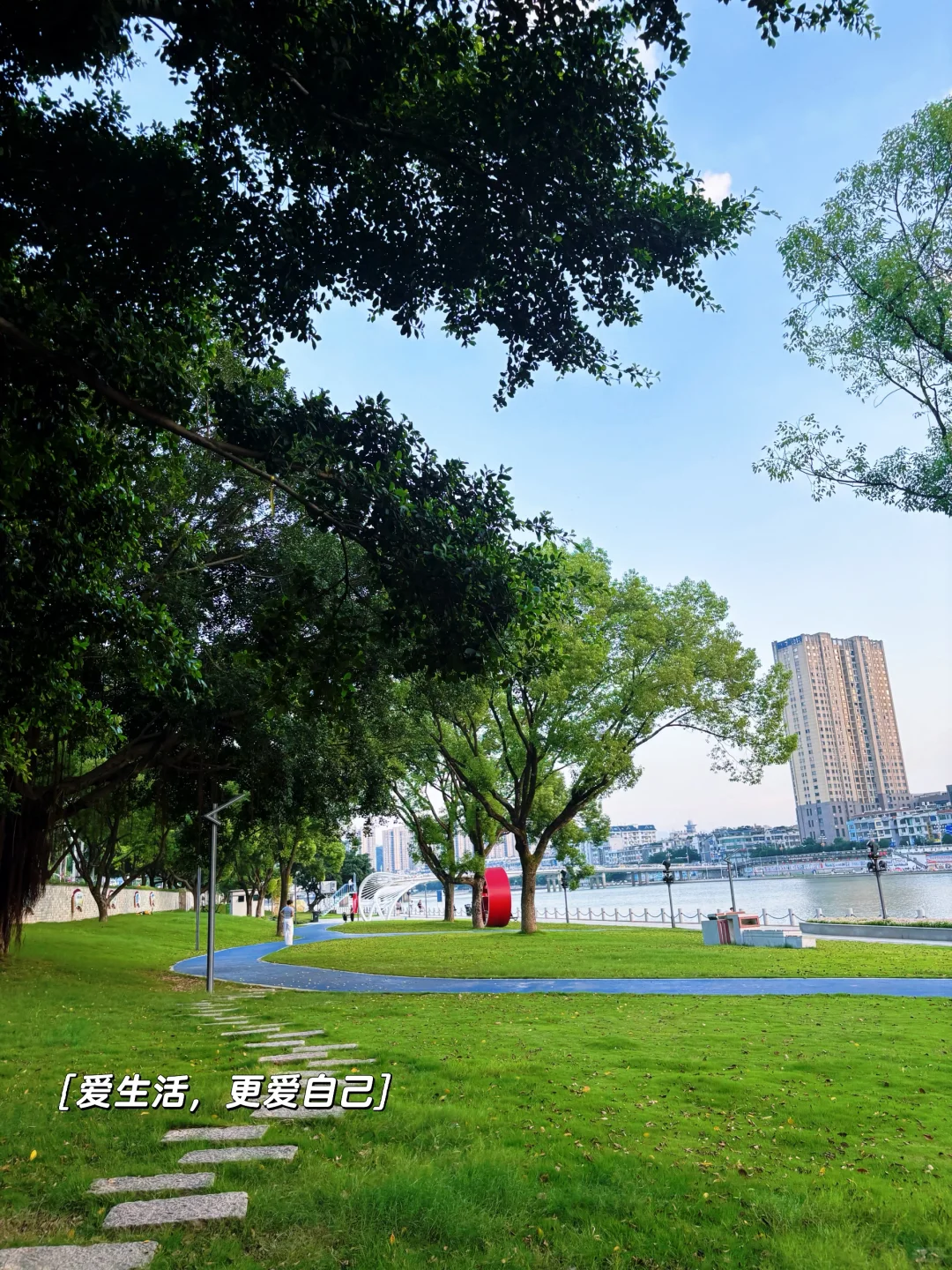 一个人，差点放弃，直播35天起号成功