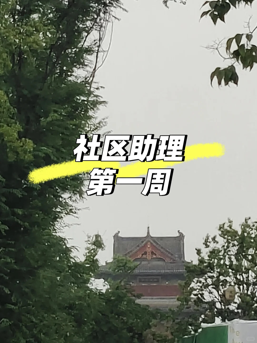 社区助理第一周