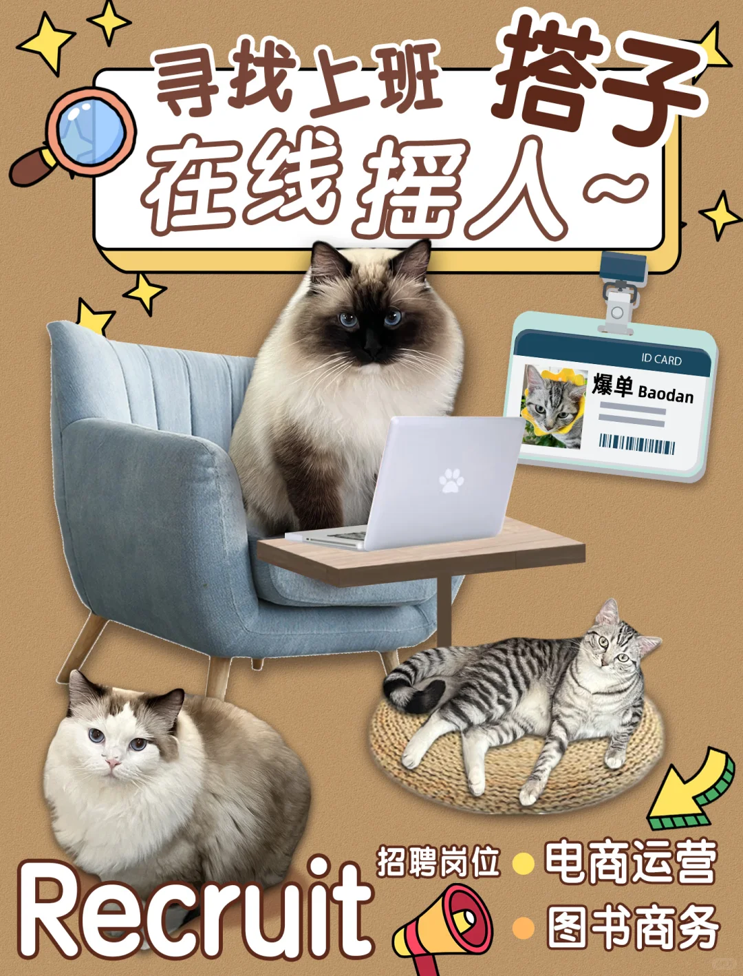 电商运营 & 图书商务岗·带薪撸猫的快乐～