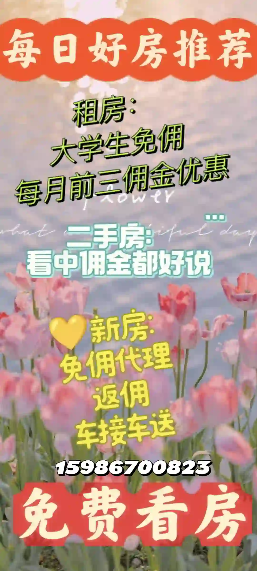 大学生勇闯房地产！！！主打一个真诚～