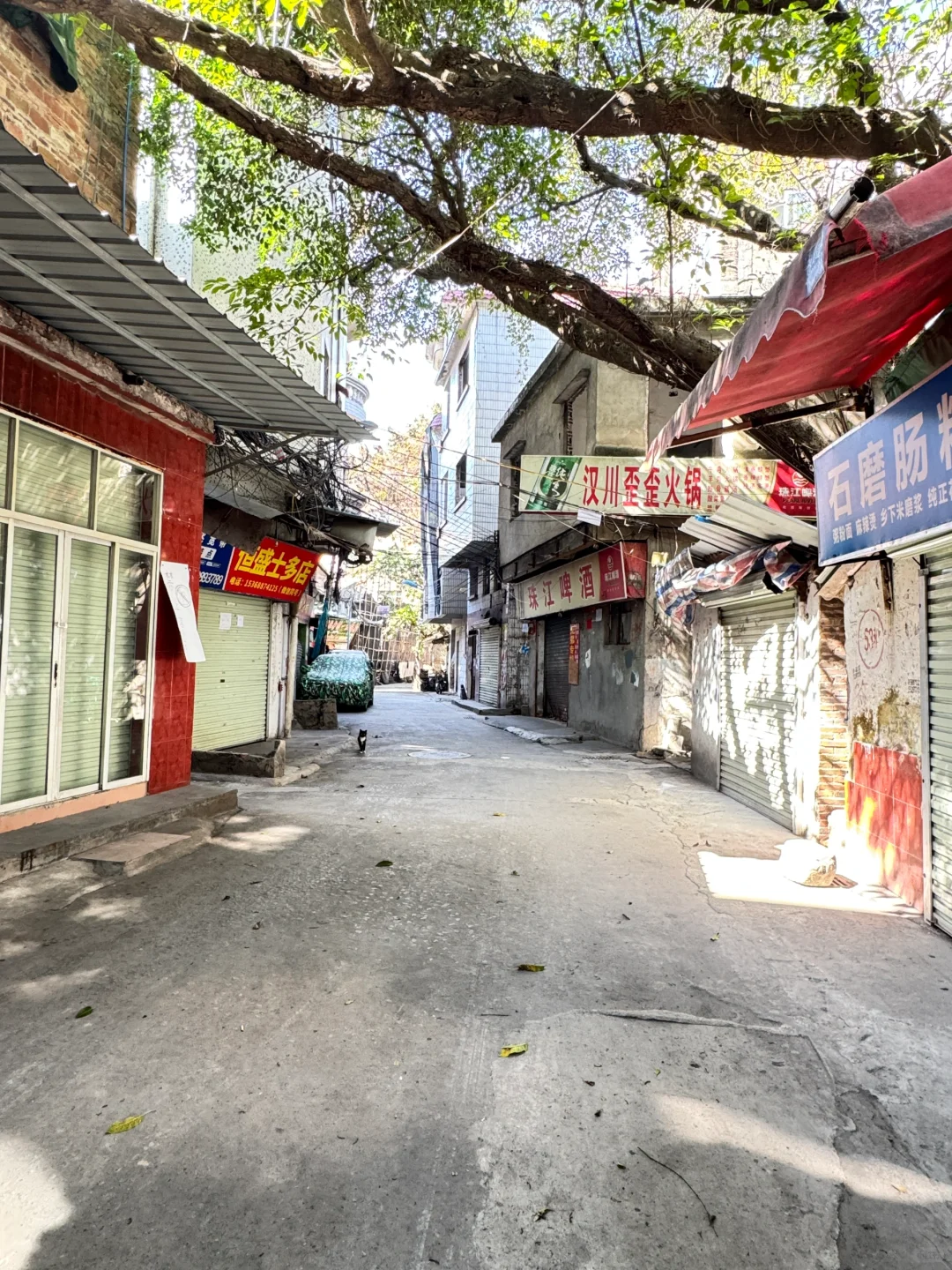 废墟与折腾之间的城市迷局