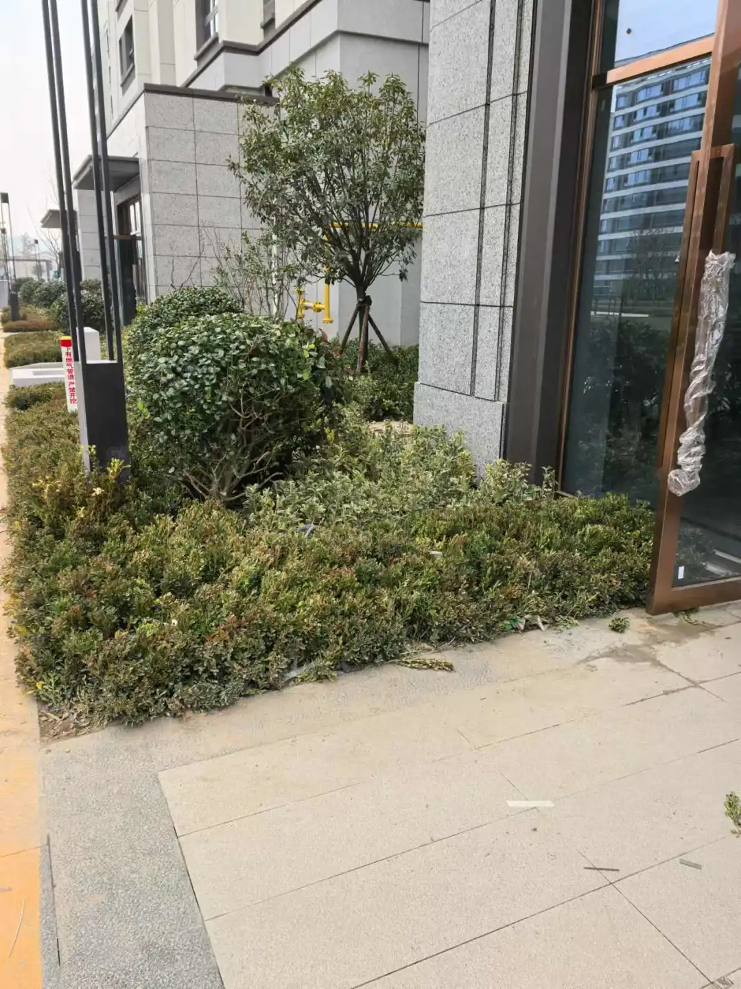连云港这家房地产 无良开发商