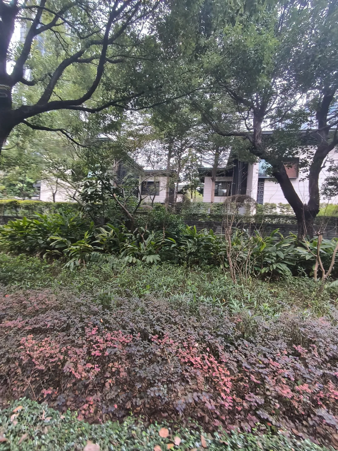 中央都在推动房地产市场止跌回稳！！！！！