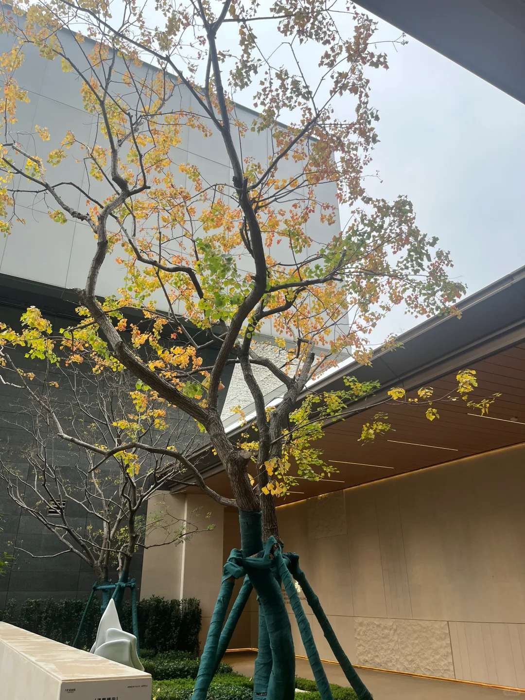 武汉买房的一些建议