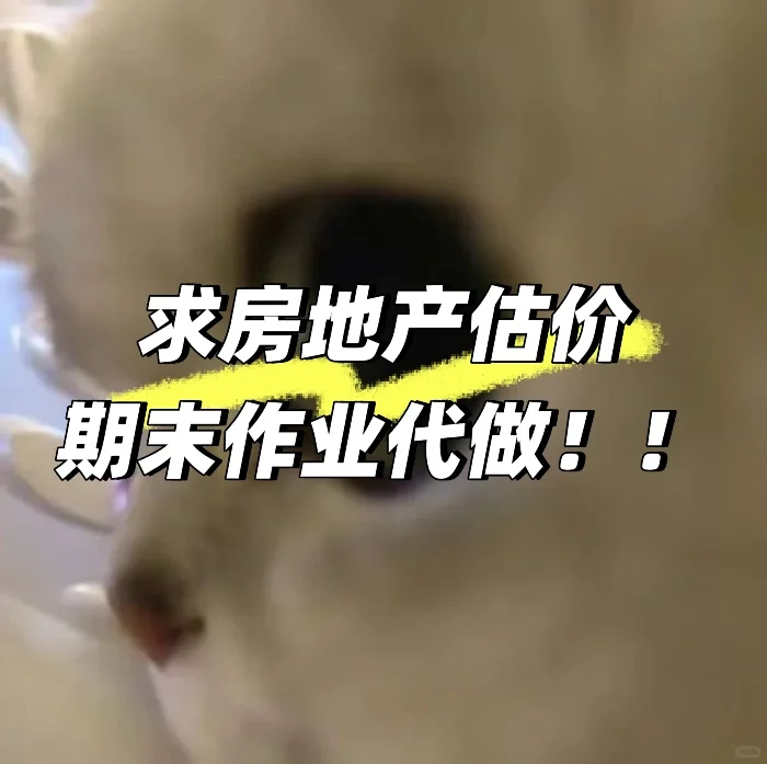 求房地产估价作业代做
