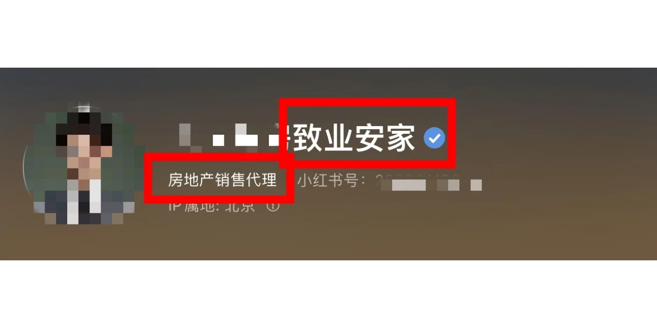房产蓝v四种外显