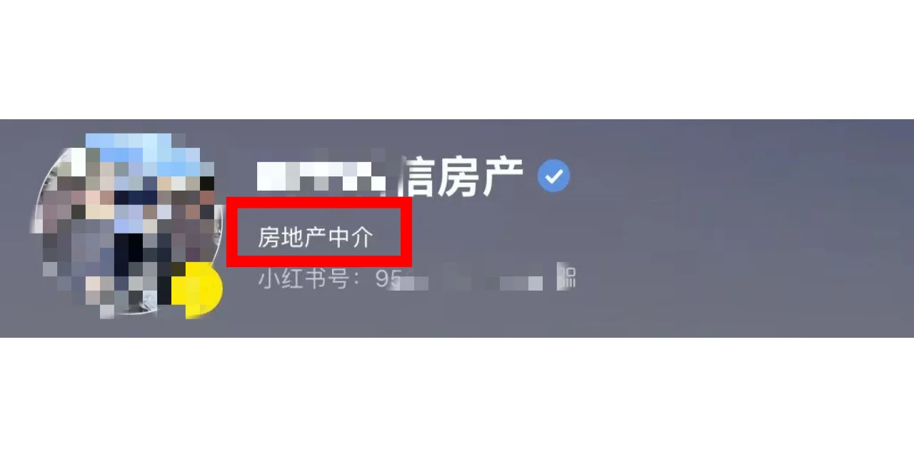 房产蓝v四种外显