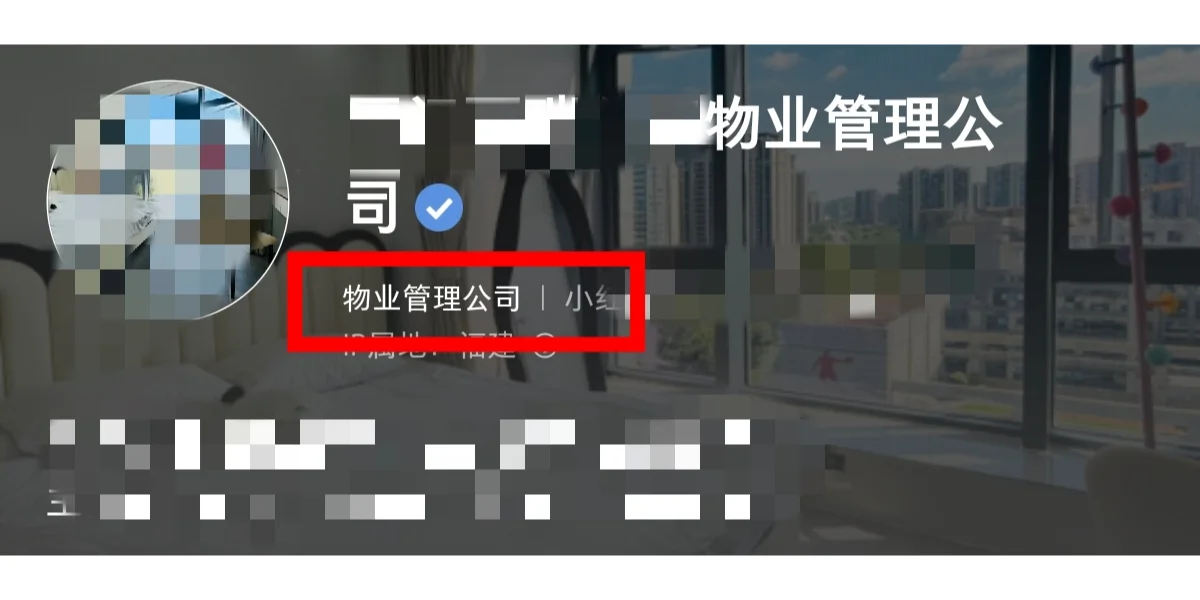 房产蓝v四种外显