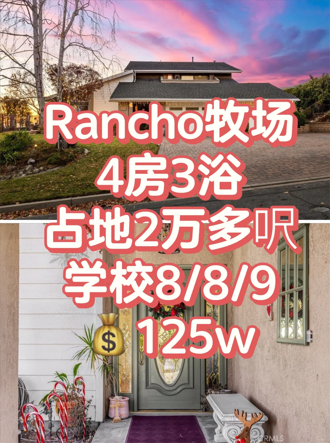 what❓你说这片山头都是你的❗️❗️