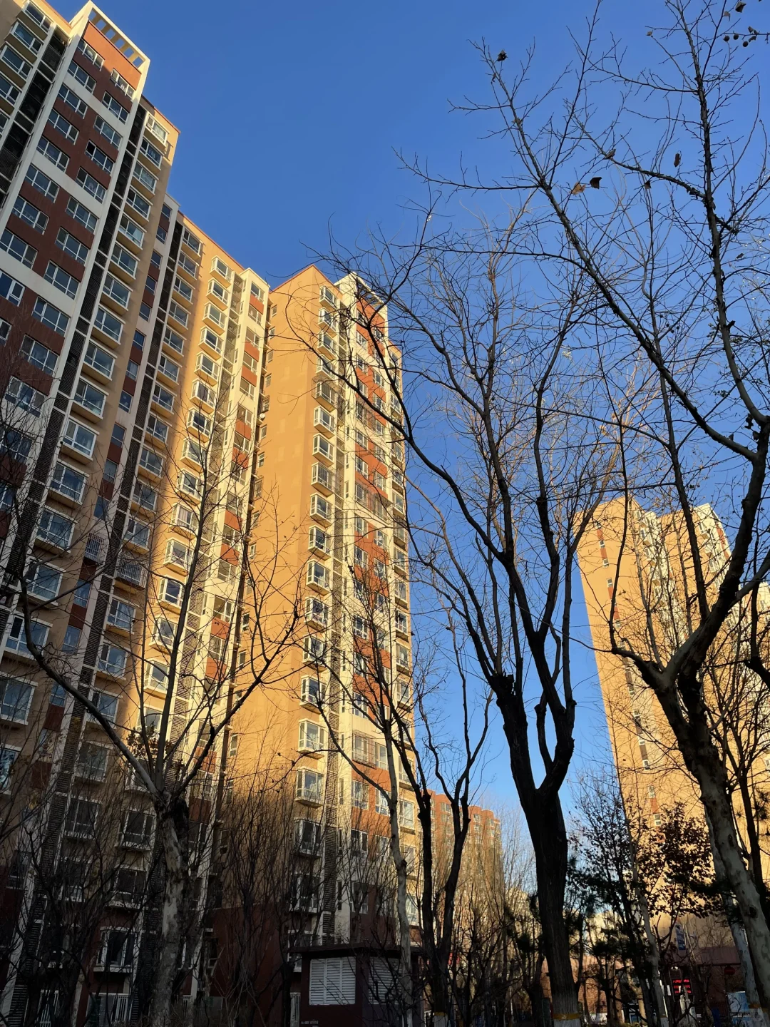 北京房价，现在是涨还是跌呀？？？