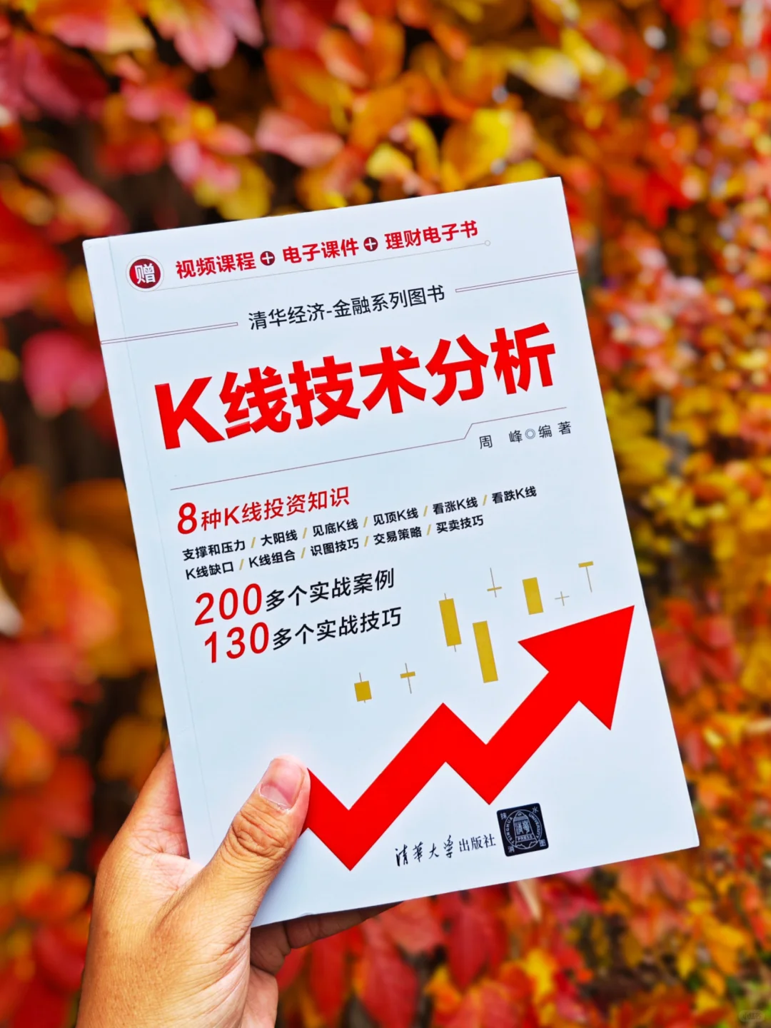 一本书看懂K线图，精准捕捉绩优股📈