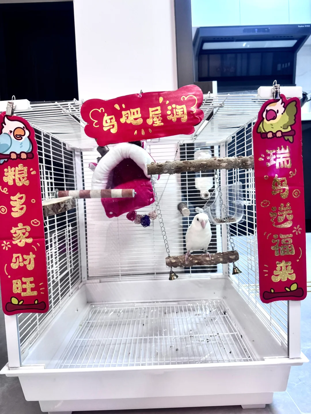 感谢房地产泡沫