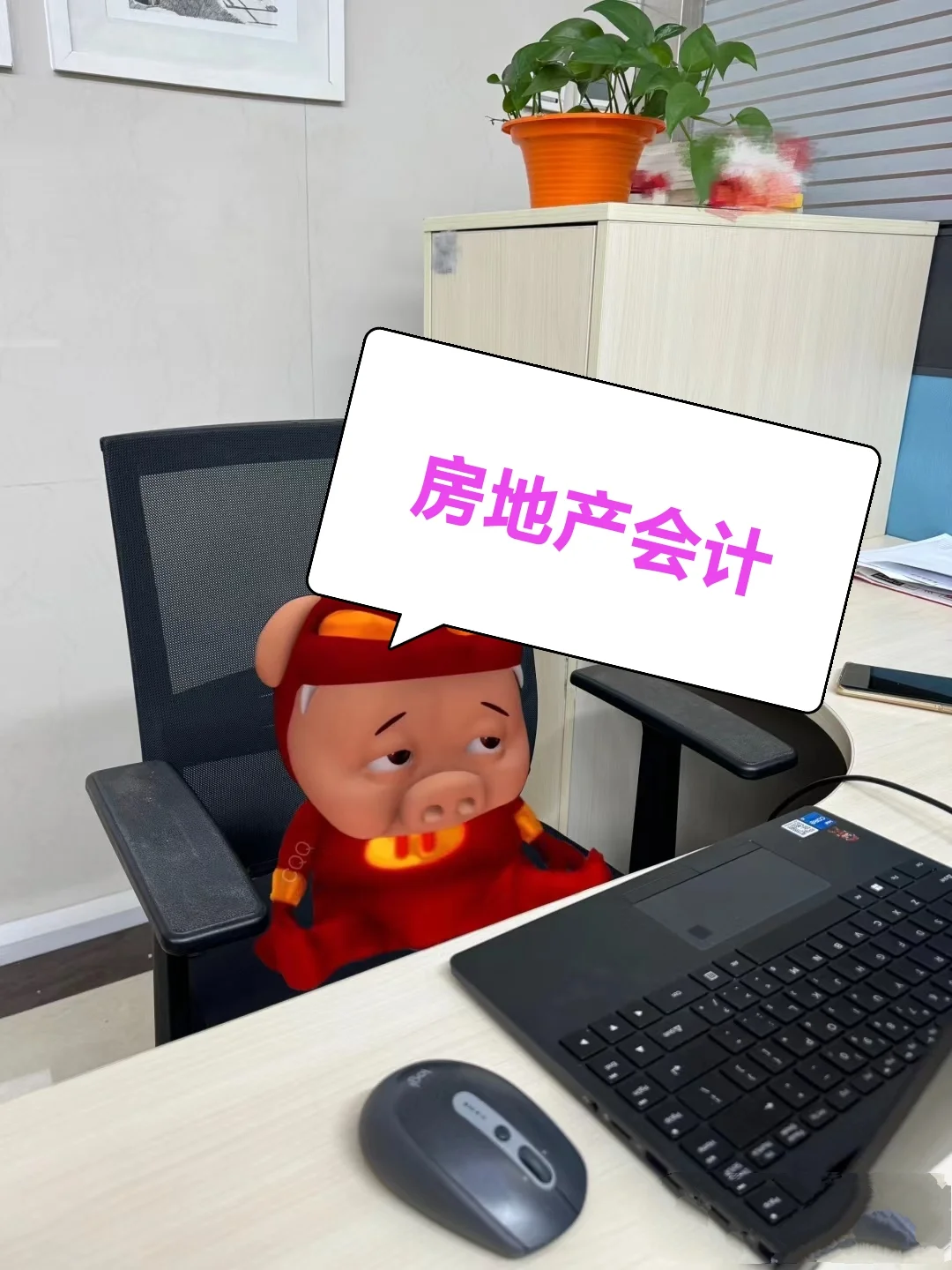 房地产会计，我没做之前真的不太了解
