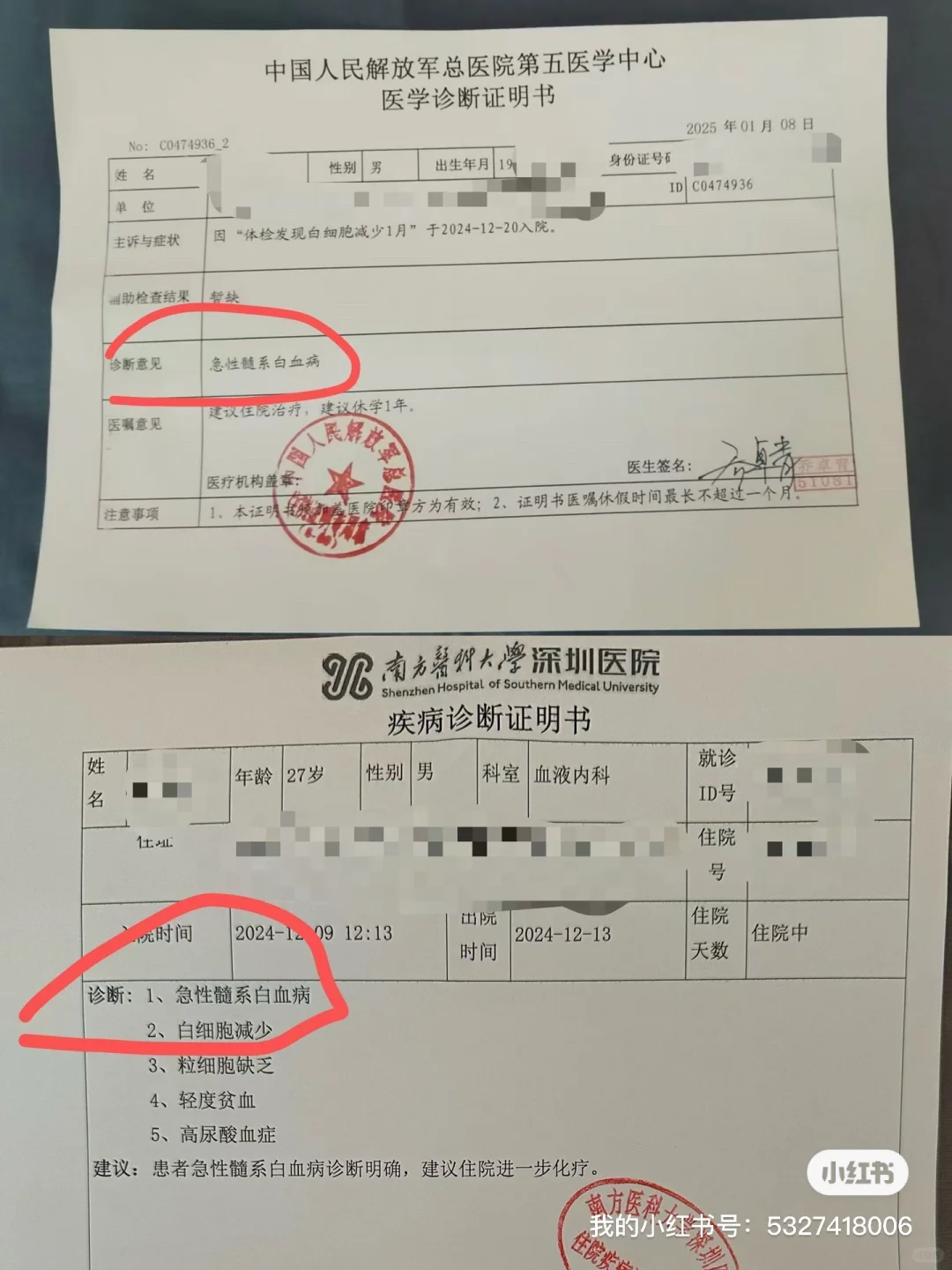 深圳租房8个月后，我确诊了急性白血病