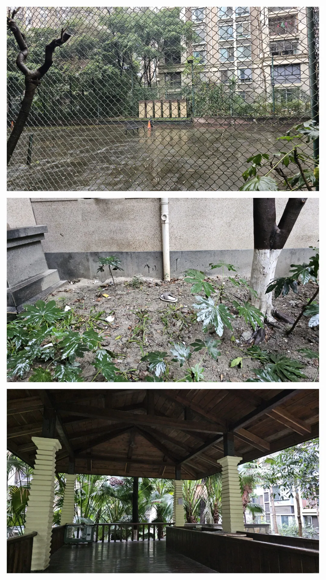 高新神仙树‖成都二手房看房日记之最破车库