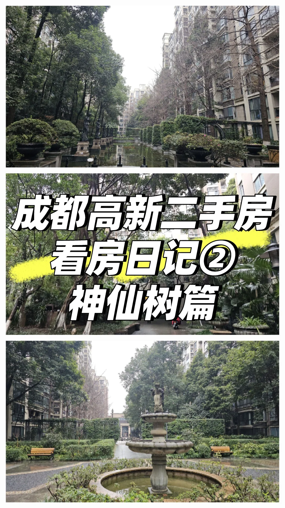 高新神仙树‖成都二手房看房日记之最破车库