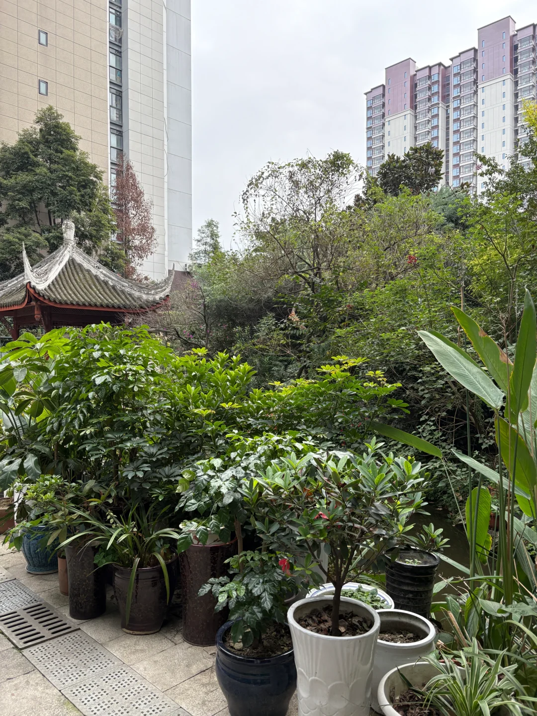 零零后勇闯链家房地产后的相册